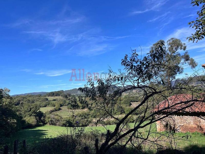 Foto 77a4f4e1-d384-4d2a-b6ab-9ab1bb45c505. Casa amb aparcament a Llanera