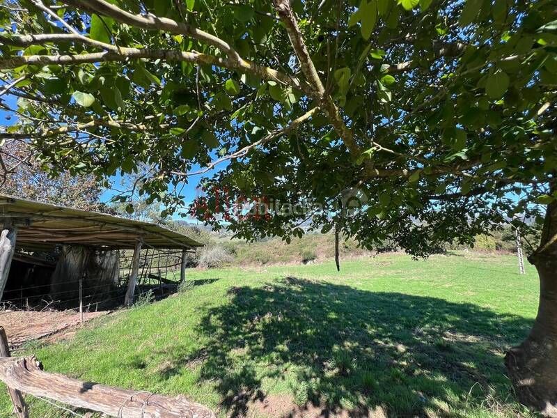 Foto a5c98192-8700-4ecd-852a-c9273774847c. Casa amb aparcament a Llanera