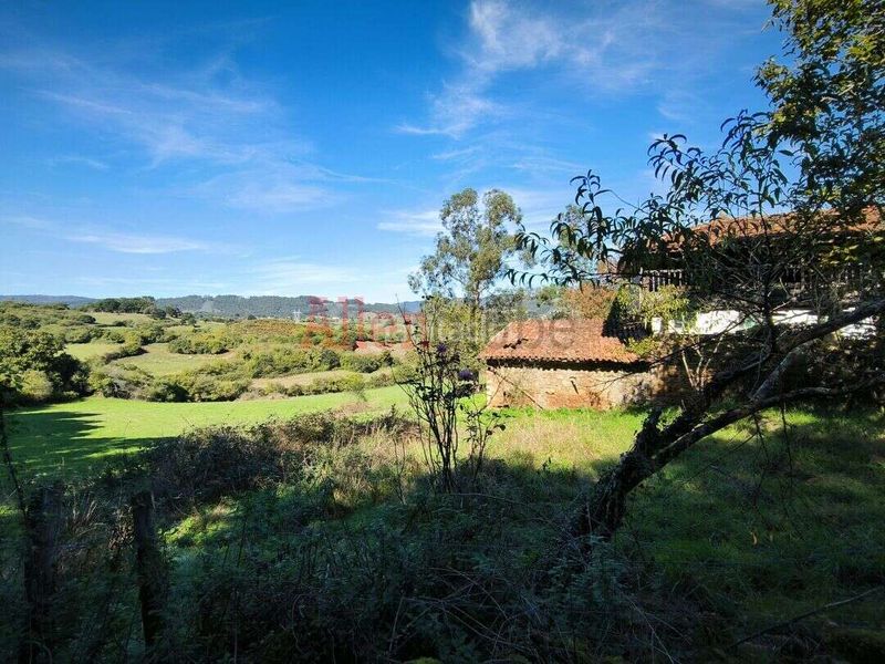 Foto b99d36df-4beb-47e0-88f9-2ced45b697b6. Casa amb aparcament a Llanera