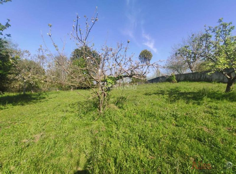 Foto 9030bdfc-1033-4e12-92b6-1ba39812fbbf. Terreny residencial a Viella-Granda-Meres Siero