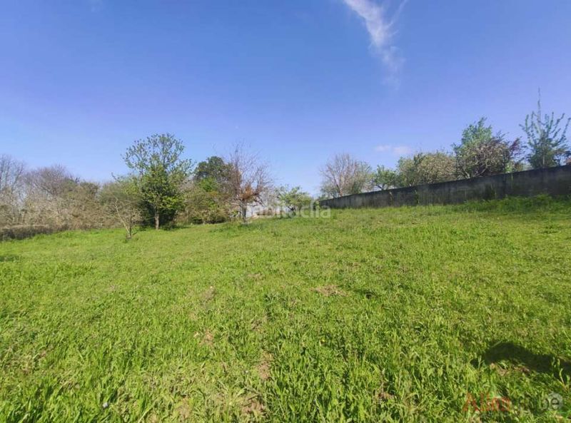 Foto c2644796-3c82-48bf-b837-b6d9c79b5f06. Terreny residencial a Viella-Granda-Meres Siero