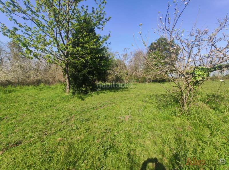 Foto cf962609-e7df-400b-8d15-8e51424c441a. Terreny residencial a Viella-Granda-Meres Siero