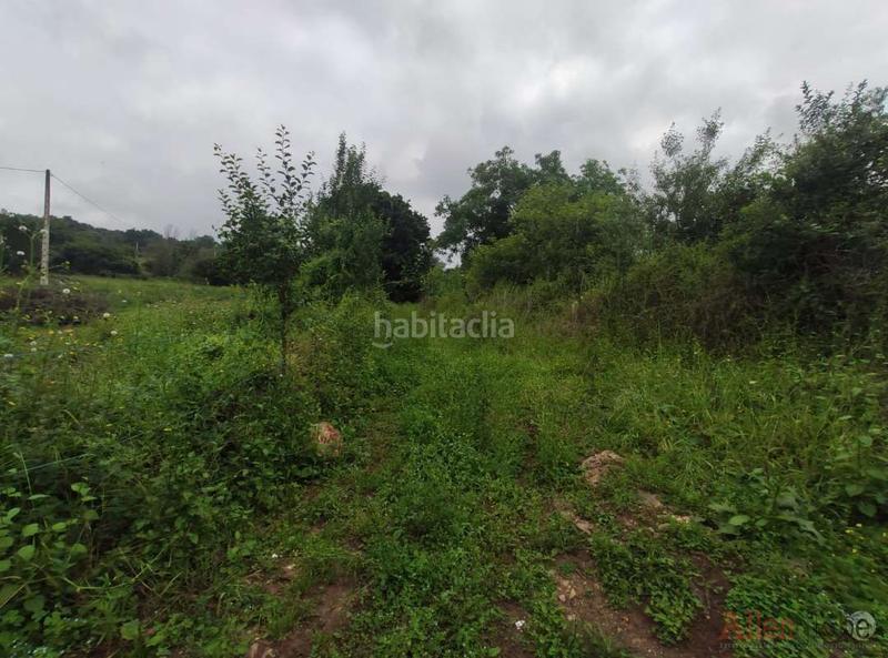 Foto a9a73e0f-d4e4-4817-ab53-0bf27485482d. Wohngrundstück in lugar ania 8a in Regueras (Las)