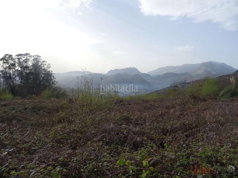 Foto 55250089-0afb-477c-b028-604f2e7b091a. Finca rústica a San Claudio - Trubia - Las Caldas Oviedo