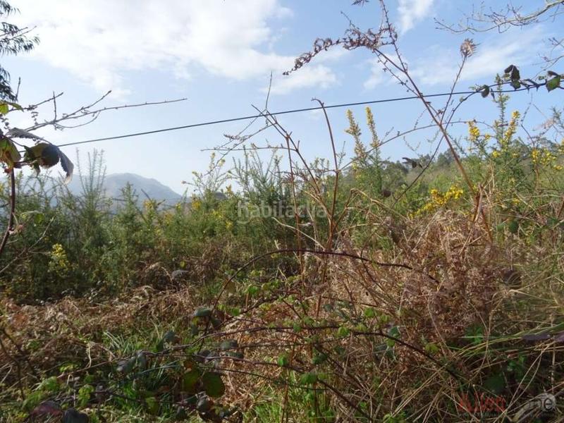 Foto 638318f9-64f3-4e3a-9056-6aaa5abdcc5b. Finca rústica a San Claudio - Trubia - Las Caldas Oviedo