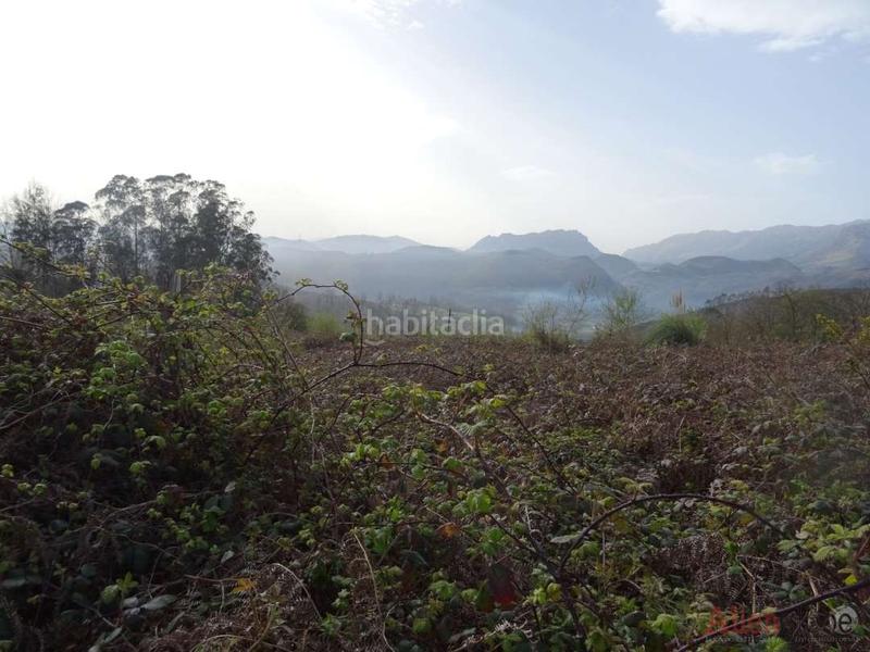 Foto bc4b1503-060a-409f-a9b3-e526d2c60bc7. Finca rústica a San Claudio - Trubia - Las Caldas Oviedo