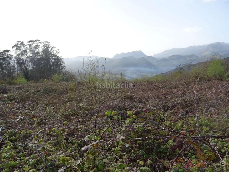 Foto cf049ad4-38c9-43a7-907a-1d80498f5926. Finca rústica a San Claudio - Trubia - Las Caldas Oviedo