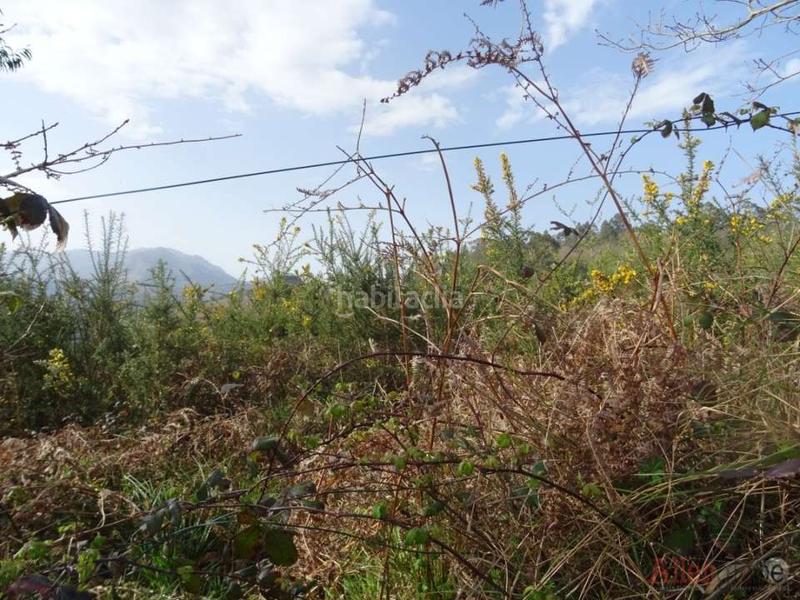 Foto f8eb0108-251b-4055-aff8-2f0b917d77b9. Finca rústica a San Claudio - Trubia - Las Caldas Oviedo