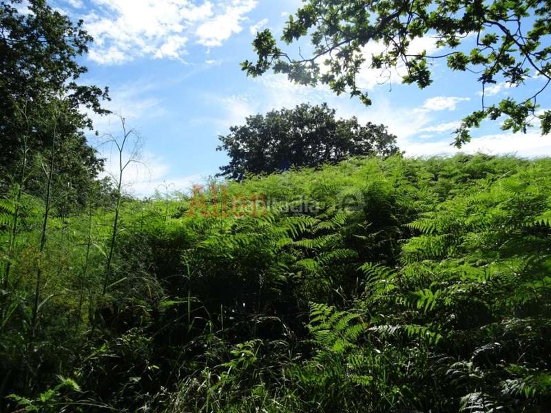 Foto bc64a8f9-701d-4337-924a-094171375b13. Terreny residencial a Parroquias Norte Siero