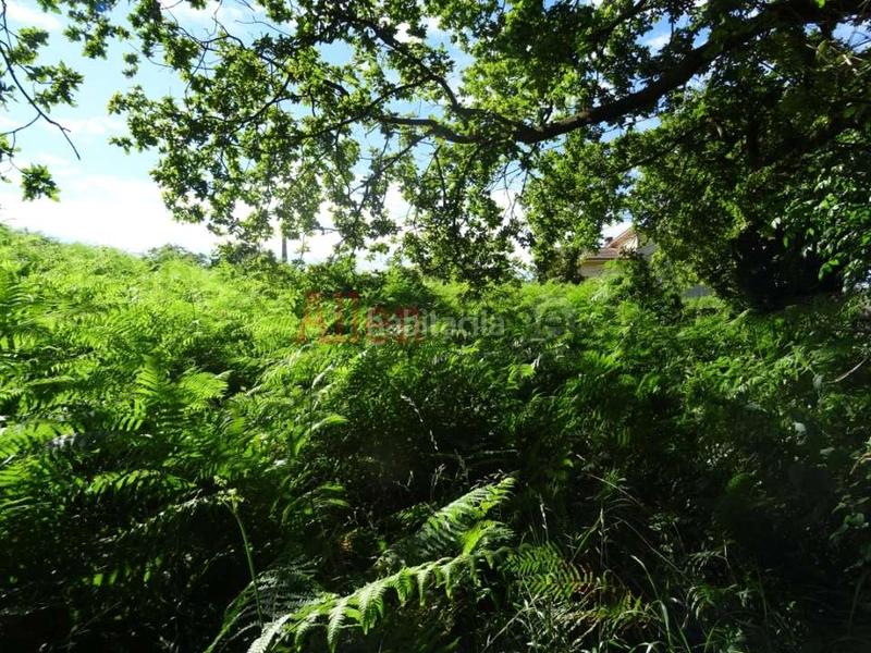 Foto db00e727-d3b9-4629-a191-3aa46fbee00c. Terreny residencial a Parroquias Norte Siero