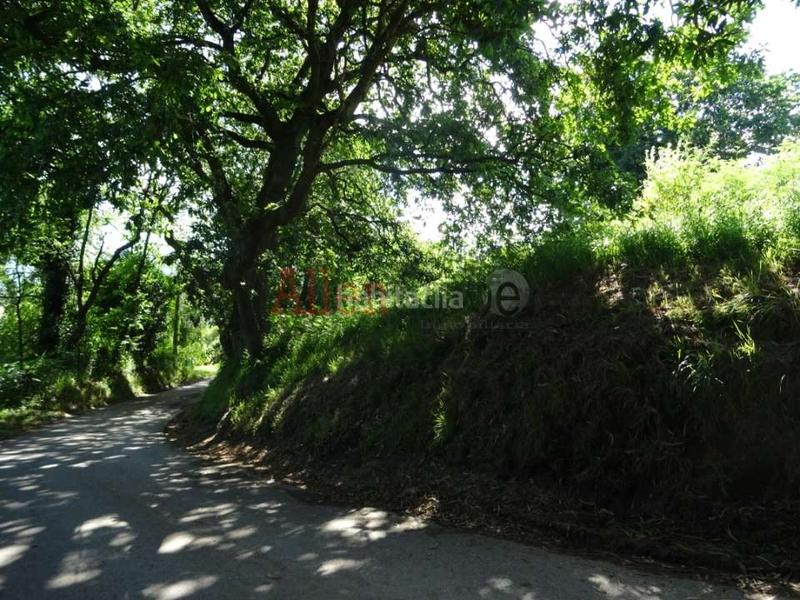 Foto fd696b4f-83f6-4598-86d9-5e0bfd5c52c7. Terreny residencial a Parroquias Norte Siero