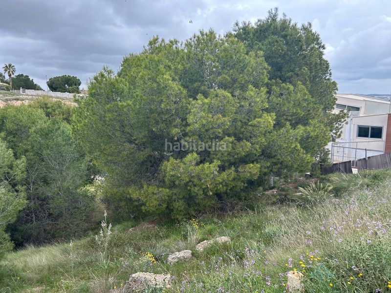 Foto cb1522d4-cd9f-4d64-9aaa-ded0b1a6870f. Terreny residencial a Torres de Cotillas (Las)