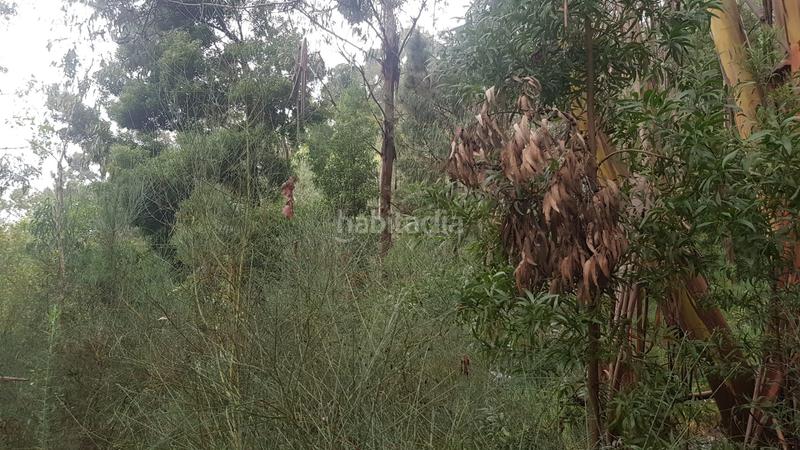 Foto 026de241-e827-47e1-8818-23d040f7ad6f. Residential plot in Moaña