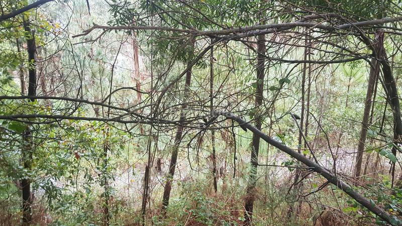 Foto 87d3cd75-d7c9-41a7-90c9-1d04a8232802. Residential plot in Moaña