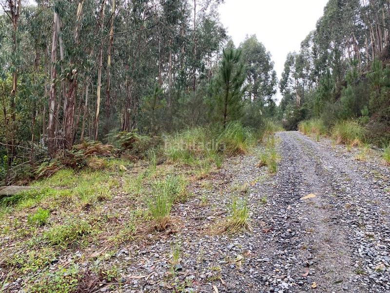 Foto f2fecfc9-e5c6-4e2f-a7a8-9fb81db68d85. Residential plot in Moaña