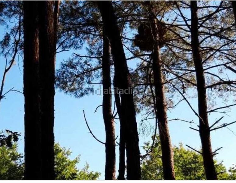 Foto 28151916-2899-492b-a601-7a31e26d275f. Terrain résidentiel dans áreas 6 dans Parroquias Rurales Pontevedra