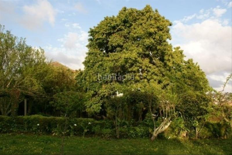 Foto b74f3a21-f2ed-41c2-b3ec-a98d3004b9a6. House with parking in Lavadores Vigo