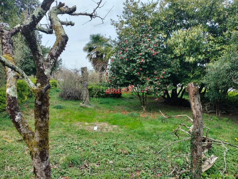 Foto 6e79d72c-d1a8-497d-8cc6-6040cf7f186a. Chalet with parking in Ventiun Ourense