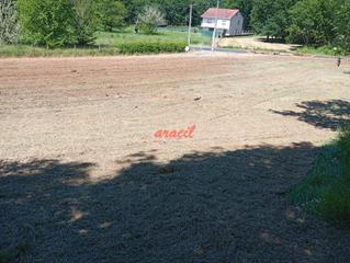 Wohngrundstück in Pereiro de Aguiar (O)