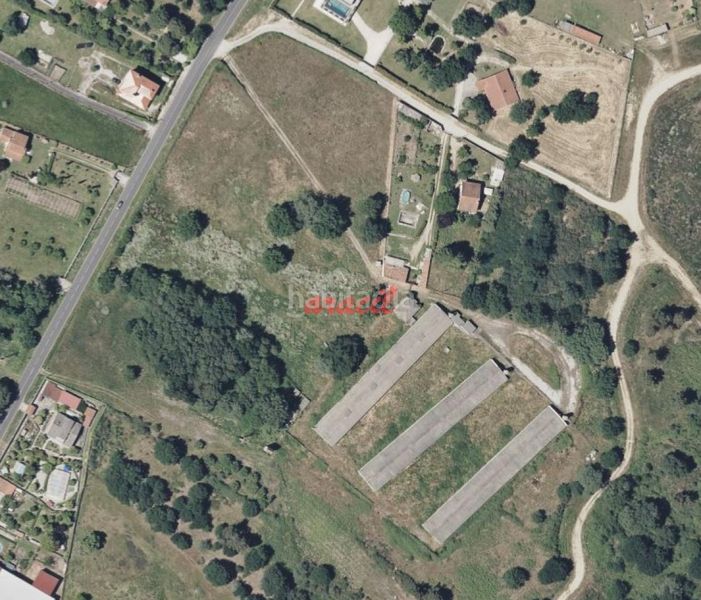 Foto 3e9899be-aa28-4e56-83a0-941afd485389. Finca rústica a Pereiro de Aguiar (O)