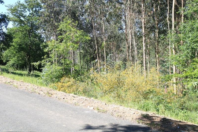 Foto 0db6a3e2-ea93-48e4-9628-516fc983191c. Terreno residencial parcela edificable en Vedra