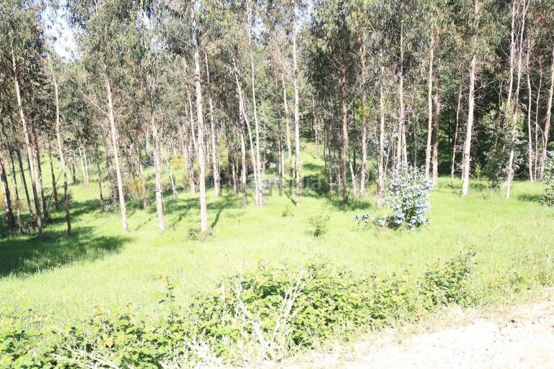 Foto 8d84c089-e50e-436c-a336-10a965765901. Terreno residencial parcela edificable en Vedra