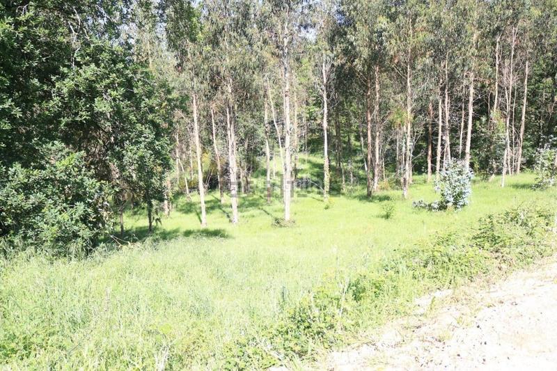 Foto cb5b2ba5-b893-4dd5-aedb-4bf34c4de48e. Terreno residencial parcela edificable en Vedra