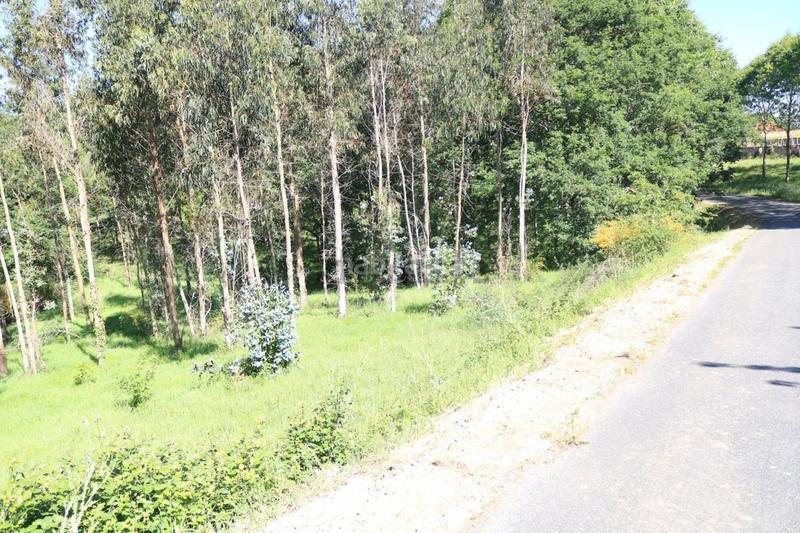 Foto fb9a7575-44d4-43c5-a3b9-b3a4e4eae9a9. Terreno residencial parcela edificable en Vedra