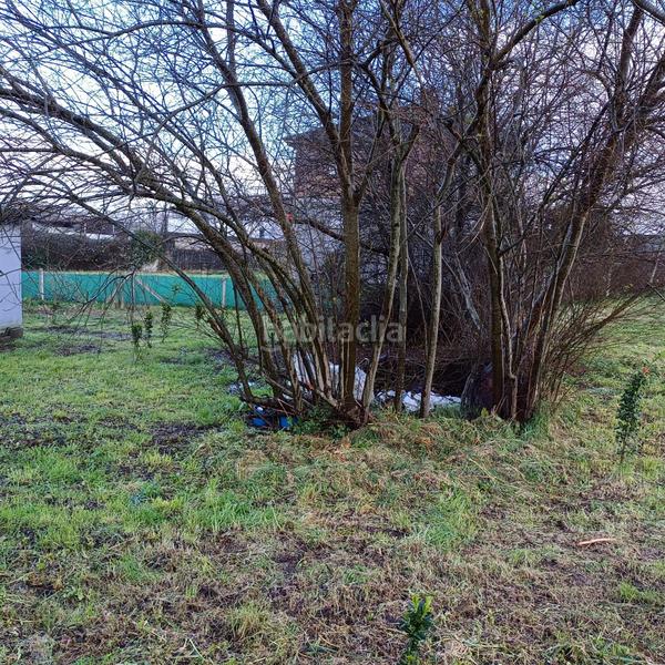 Foto d491c8fe-66e4-49af-931c-17f02e311ed8. Finca rústica a Silleda