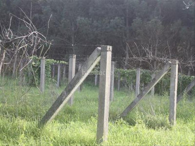 Foto 7af401c4-eb14-48f6-a40d-482b1b15bf01. Terreno residencial terreno edificable en Vedra