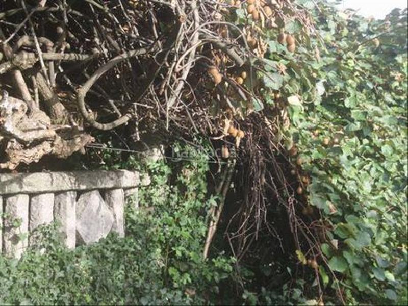 Foto e839da00-73bc-4911-8377-1e49e497e3a9. Terreno residencial terreno edificable en Vedra