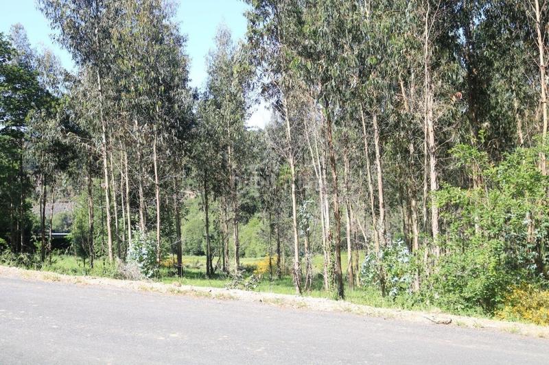 Foto 0cb10b90-7194-4fd4-badf-f871855514fa. Terreno residencial parcela edificable en Vedra