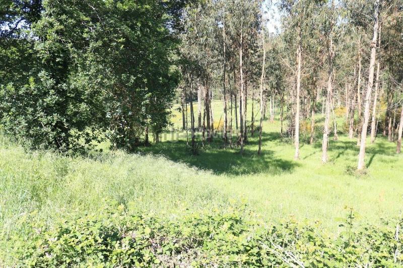 Foto 4667be1f-b032-4d9f-a47d-357372560d06. Terreno residencial parcela edificable en Vedra