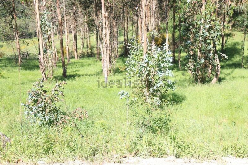 Foto bac81413-273a-4f6c-b576-c7b40879021f. Terreno residencial parcela edificable en Vedra