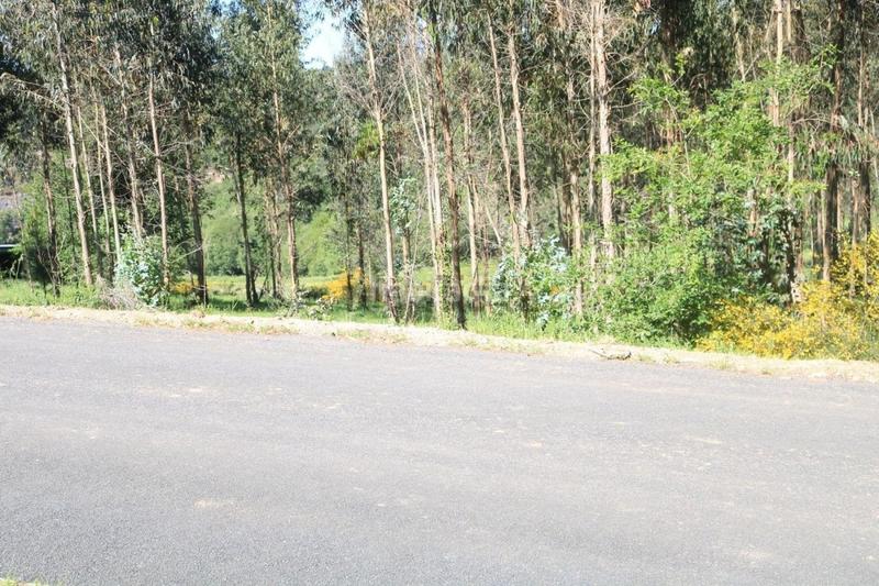 Foto d0c5463c-d9ca-44c7-bf27-c859825983dd. Terreno residencial parcela edificable en Vedra