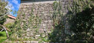 Masia a Dodro. Casa de piedra en ruinas con parcela en dodro