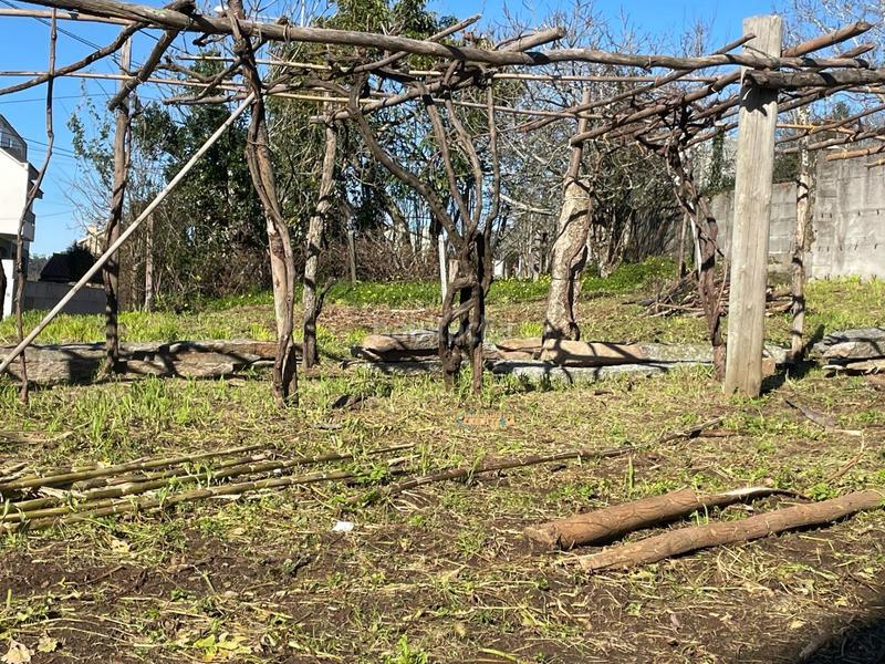 Foto 217e1817-584e-4cc8-8b50-35ce451e67bf. Terreno residenziale in Cabral - Candeán Vigo