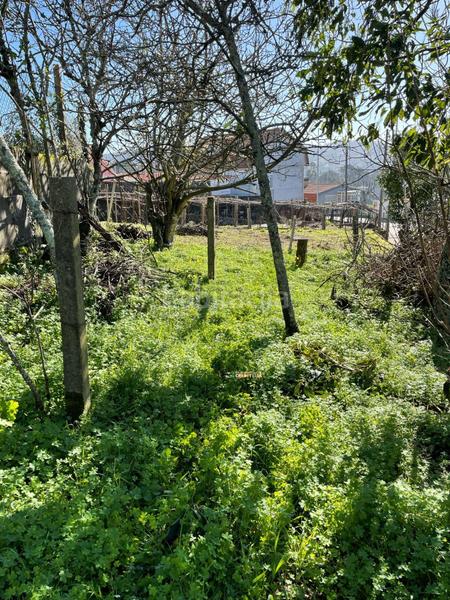 Foto 6fd9ca0e-98bd-4fd8-bc70-7b2d8ec333e2. Terreno residenziale in Cabral - Candeán Vigo