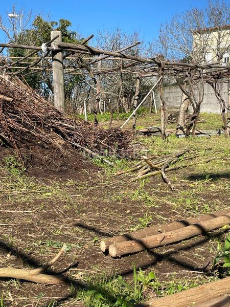 Foto d0083756-a23c-4577-a378-0507e472b8db. Terreno residenziale in Cabral - Candeán Vigo