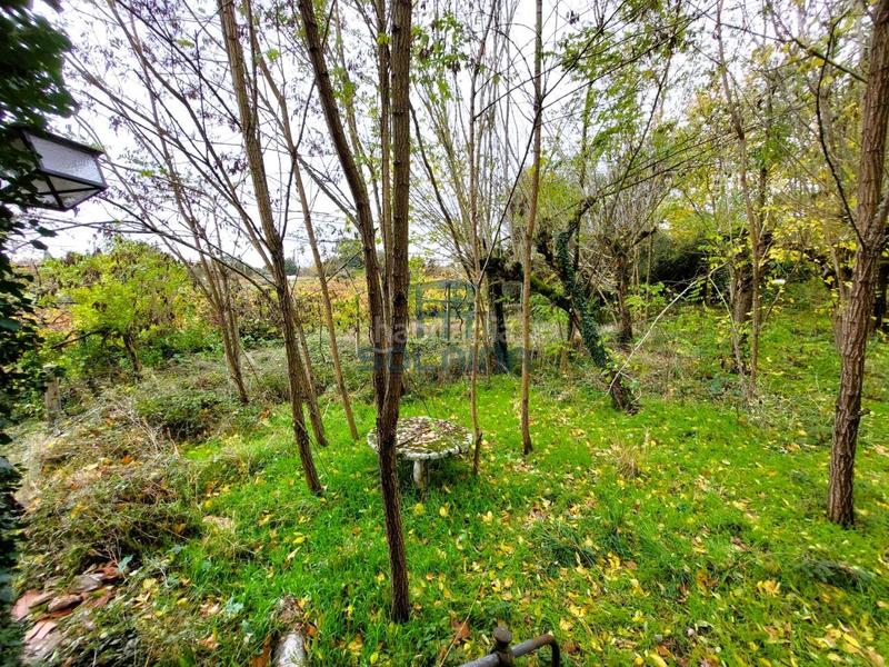 Foto 4a3e387f-46d0-4d13-bea8-a50a39fa7fa1. Mas dans Pantón