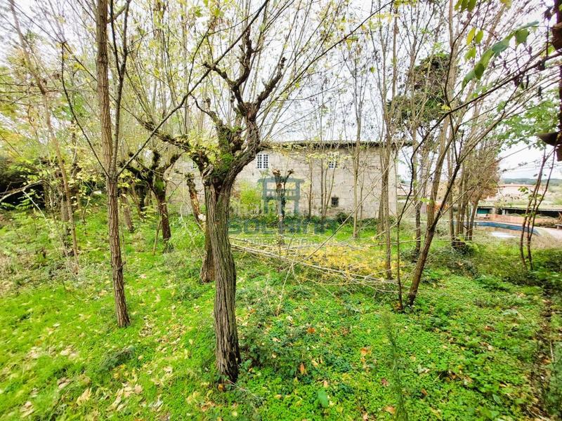 Foto ed6be498-d76e-454a-8ff2-05308c3aef67. Mas dans Pantón