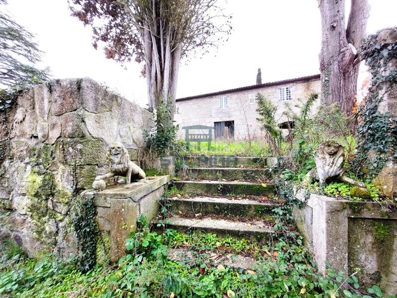 Foto f02a1aac-6522-4c4d-b464-4181387fa8cc. Mas dans Pantón