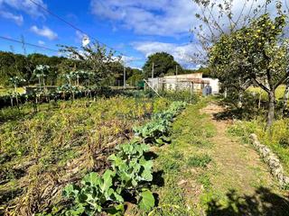Terreno residenziale in Pereiro de Aguiar (O)