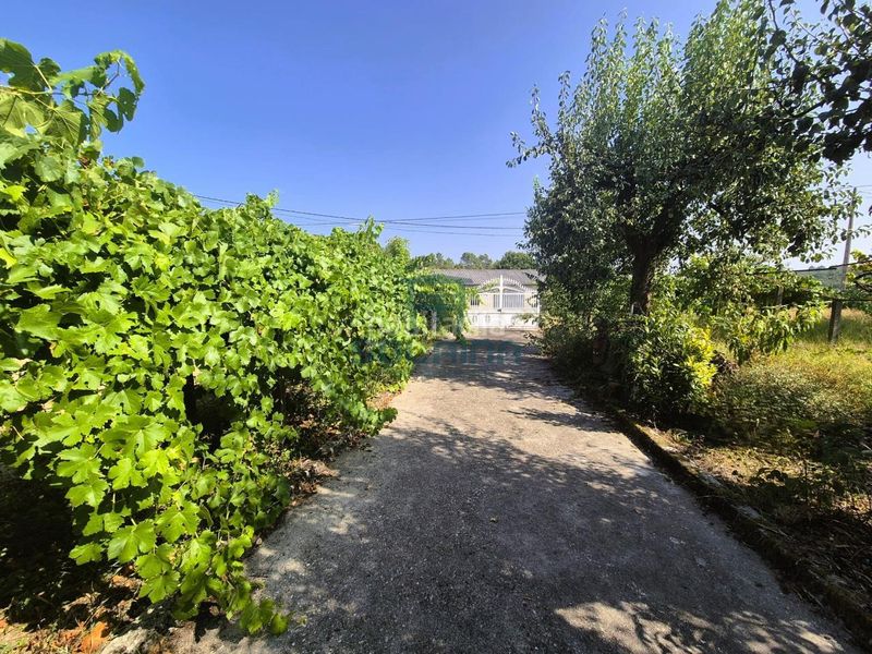Foto baf7b1a9-0eec-489a-a46b-3b6626a3830d. Casa amb calefacció aparcament a Coles