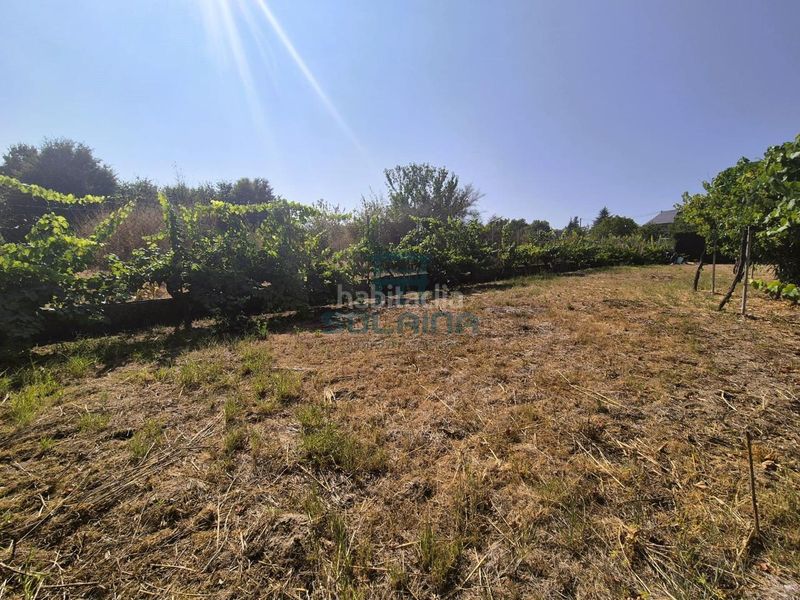 Foto f51abe4a-8237-440f-a76d-4e4b92e3adea. Casa amb calefacció aparcament a Coles