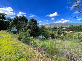 Residential Plot in San Rosendo