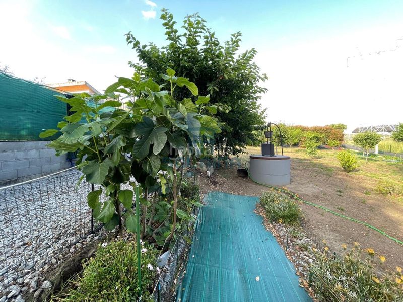 Foto 6b9b05ad-f413-4fe3-b2ac-4a3984119e21. Finca rústica a Ventiun Ourense