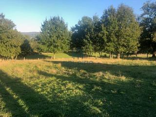 Terreno residenziale in Nogueira de Ramuín