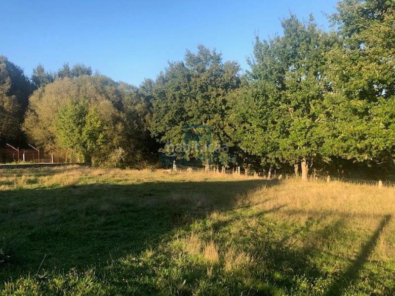 Foto 138c96c5-ac41-4dc8-9ee1-bf51fd5e6d43. Wohngrundstück in Nogueira de Ramuín