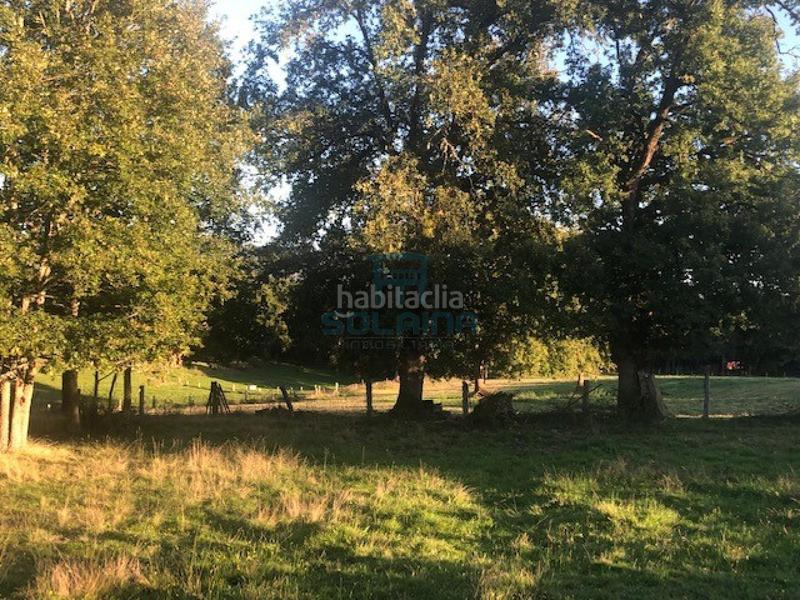 Foto 34c5eb9b-dcb2-420b-96a3-248a20bae567. Wohngrundstück in Nogueira de Ramuín